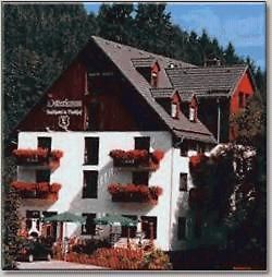 Landhotel Osterlamm Beierfeld Esterno foto